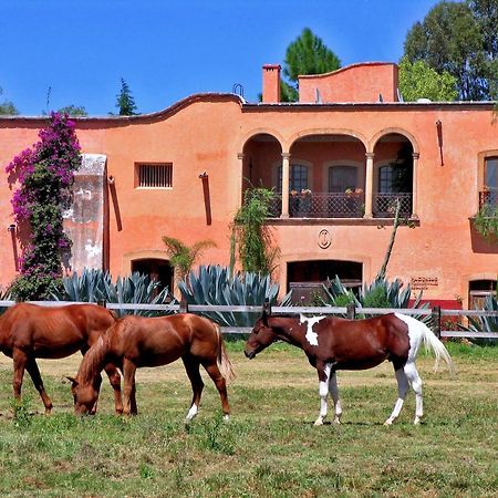 Hacienda Sepulveda Hotel & Spa (Adults Only) Лагос-де-Морено Экстерьер фото