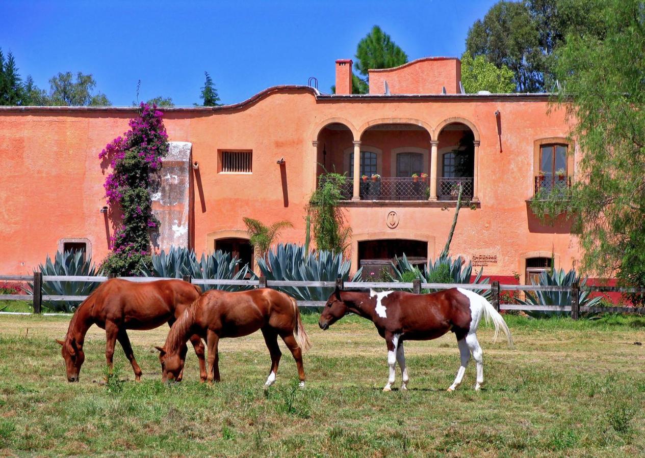 Hacienda Sepulveda Hotel & Spa (Adults Only) Лагос-де-Морено Экстерьер фото